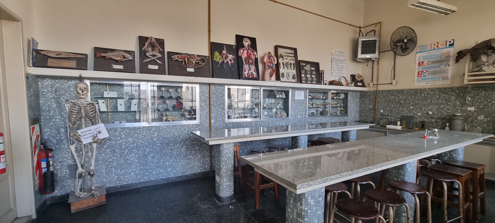 Laboratorio de biología